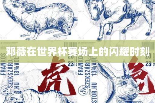 邓薇在世界杯赛场上的闪耀时刻