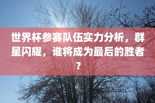 世界杯参赛队伍实力分析，群星闪耀，谁将成为最后的胜者？