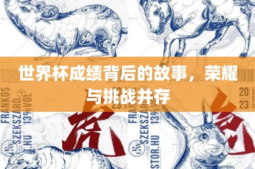 世界杯成绩背后的故事，荣耀与挑战并存
