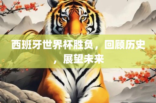 西班牙世界杯胜负，回顾历史，展望未来