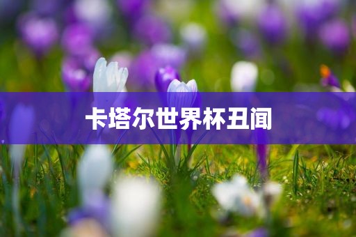 卡塔尔世界杯丑闻