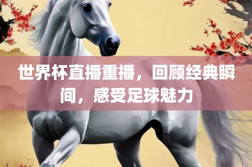 世界杯直播重播，回顾经典瞬间，感受足球魅力