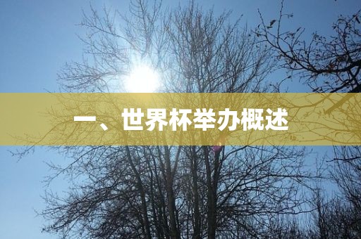 一、世界杯举办概述吉安市靖泰电力工程有限公司