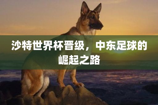 沙特世界杯晋级，中东足球的崛起之路