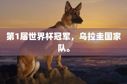第1届世界杯冠军，乌拉圭国家队。