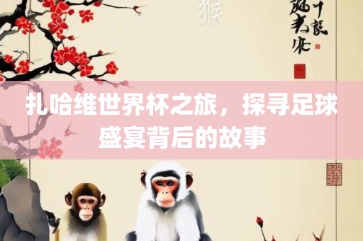 扎哈维世界杯之旅，探寻足球盛宴背后的故事