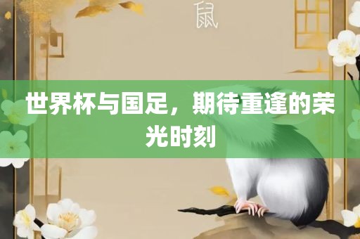 世界杯与国足，期待重逢的荣光时刻
