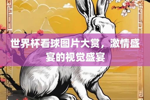 世界杯看球图片大赏，激情盛宴的视觉盛宴