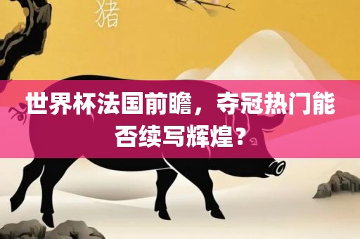 世界杯法国前瞻，夺冠热门能否续写辉煌？