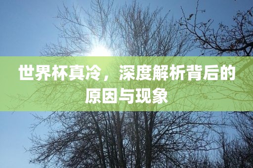 世界杯真冷，深度解析背后的原因与现象