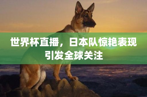 世界杯直播，日本队惊艳表现引发全球关注