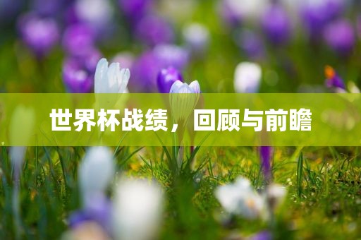 世界杯战绩，回顾与前瞻