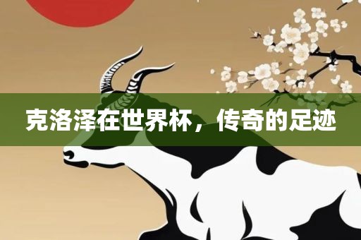克洛泽在世界杯，传奇的足迹