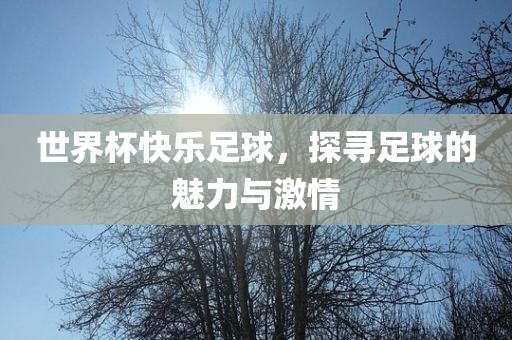 世界杯快乐足球，探寻足球的魅力与激情