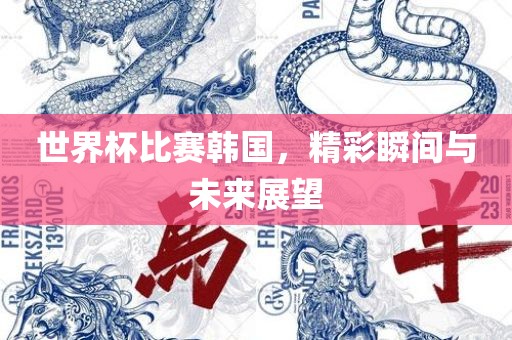 世界杯比赛韩国，精彩瞬间与未来展望