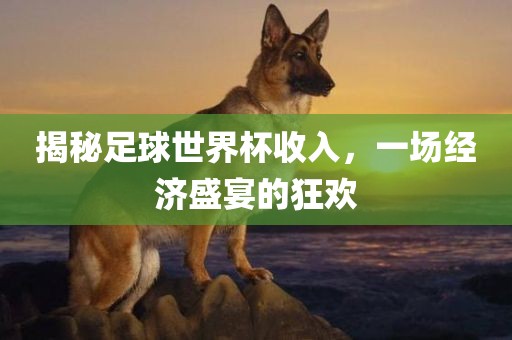 揭秘足球世界杯收入，一场经济盛宴的狂欢