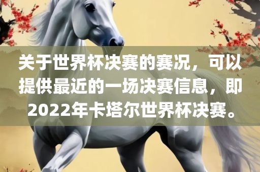 关于世界杯决赛的赛况，可以提供最近的一场决赛信息，即2022年卡塔尔世界杯决赛。