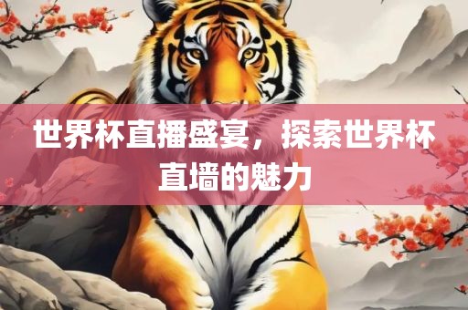 世界杯直播盛宴，探索世界杯直墙的魅力