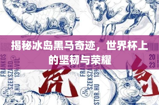 揭秘冰岛黑马奇迹，世界杯上的坚韧与荣耀