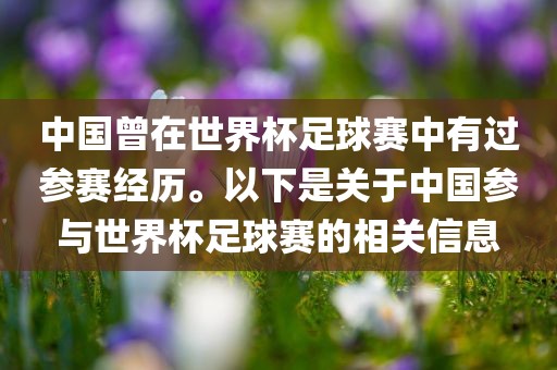 中国曾在世界杯足球赛中有过参赛经历。以下是关于中国参与世界杯足球赛的相关信息
