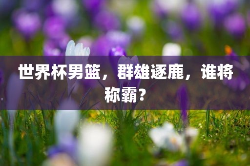 世界杯男篮，群雄逐鹿，谁将称霸？