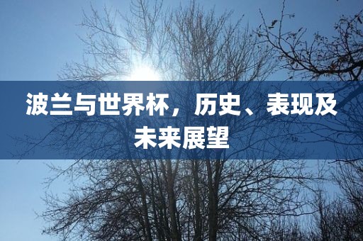 波兰与世界杯，历史、表现及未来展望