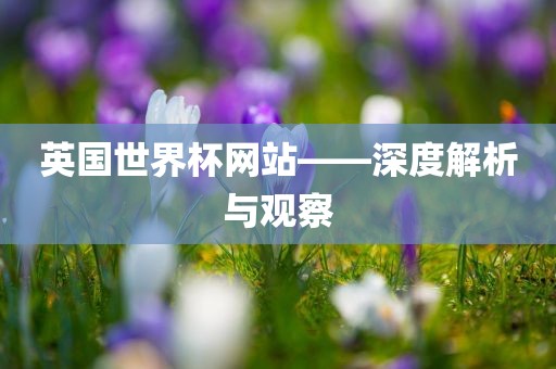 英国世界杯网站——深度解析与观察