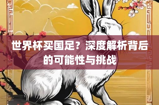世界杯买国足？深度解析背后的可能性与挑战