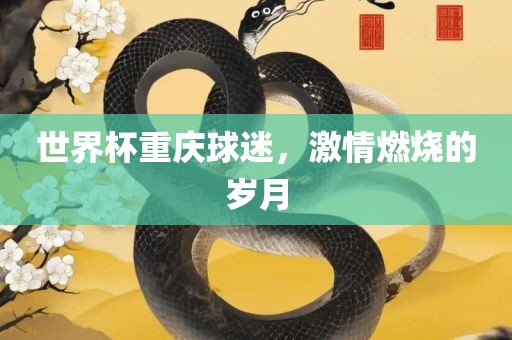 世界杯重庆球迷，激情燃烧的岁月