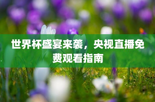 世界杯盛宴来袭，央视直播免费观看指南