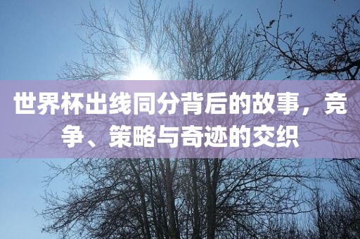 世界杯出线同分背后的故事，竞争、策略与奇迹的交织