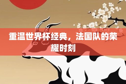 重温世界杯经典，法国队的荣耀时刻