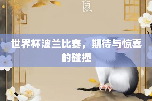 世界杯波兰比赛，期待与惊喜的碰撞