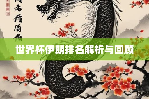 世界杯伊朗排名解析与回顾