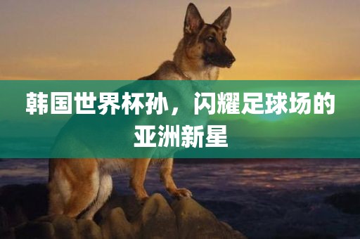 韩国世界杯孙，闪耀足球场的亚洲新星
