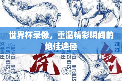 世界杯录像，重温精彩瞬间的绝佳途径