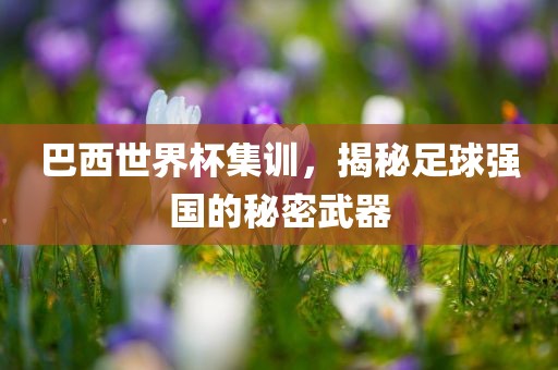 巴西世界杯集训，揭秘足球强国的秘密武器