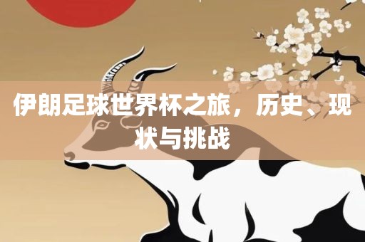 伊朗足球世吉安市靖泰电力工程有限公司界杯之旅，历史、现状与挑战