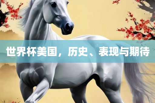 世界杯美国，历史、表现与期待