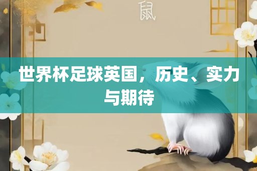 世界杯足球英国，历史、实力与期待