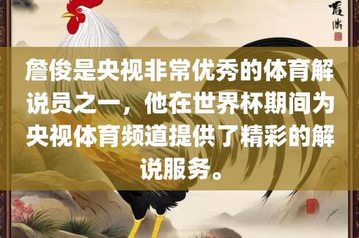 詹俊是央视非常优秀的体育解说员之一，他在世界杯期间为央视体育频道提供了精彩的解说服务。